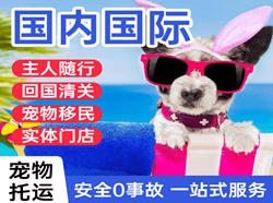 乌兰察布集宁机场快递国际宠物托运 【国